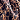 Animal Print
